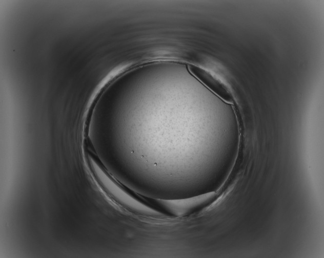 X0000085801333200703231321