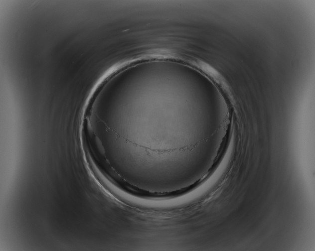 X0000085801334200703231321