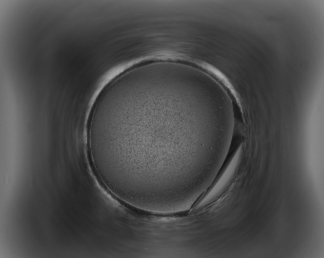 X0000085801335200703231321
