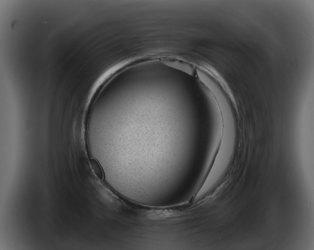 X0000085801336200703231321