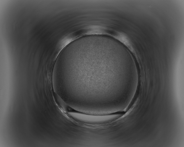 X0000085801337200703231321