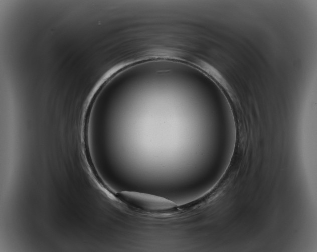 X0000085801339200703231322