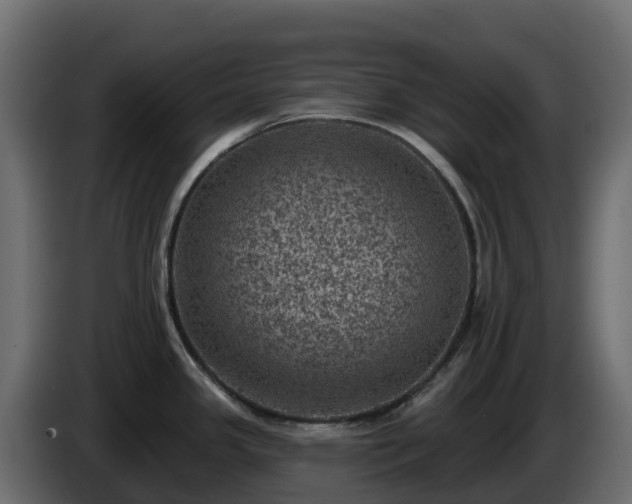 X0000085801341200703231322