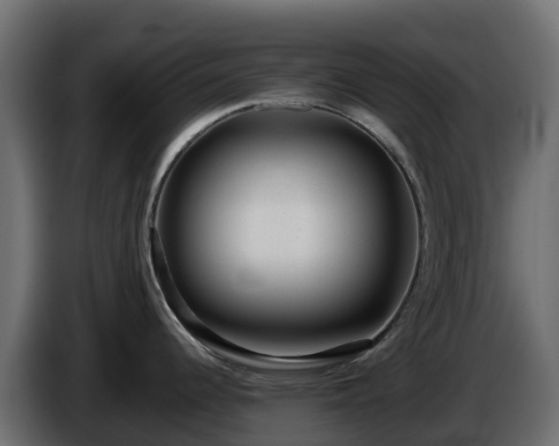 X0000085801344200703231322