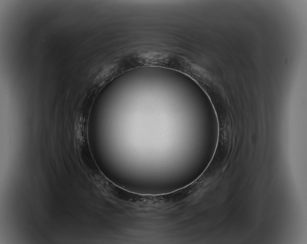 X0000085801346200703231321