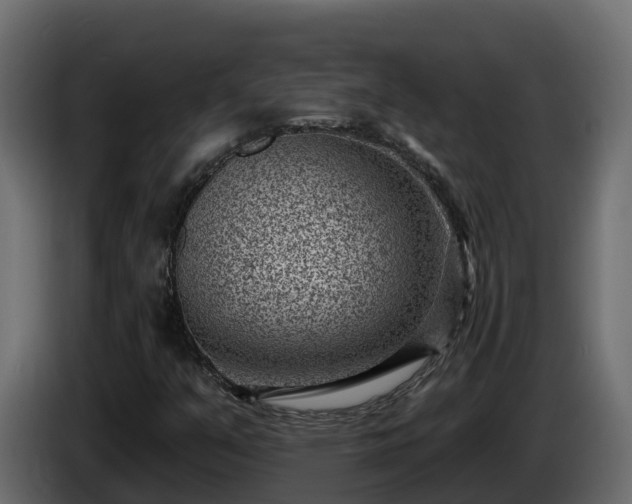 X0000085801351200703231321