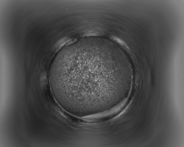 X0000085801353200703231321