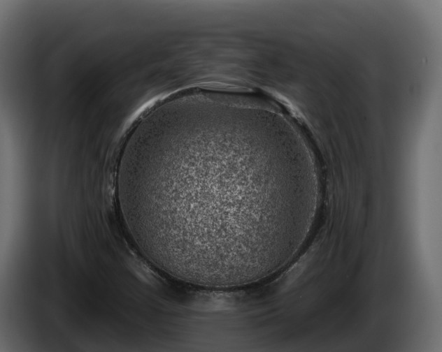 X0000085801355200703231321