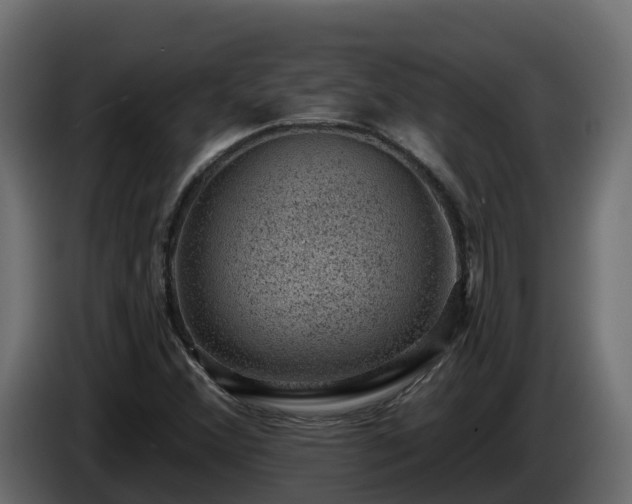 X0000085801356200703231321