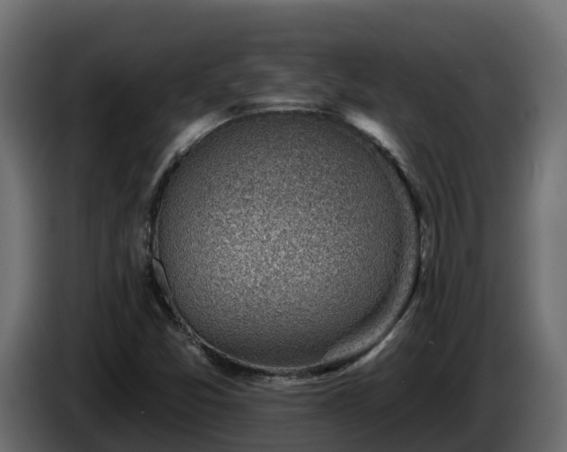 X0000085801357200703231321