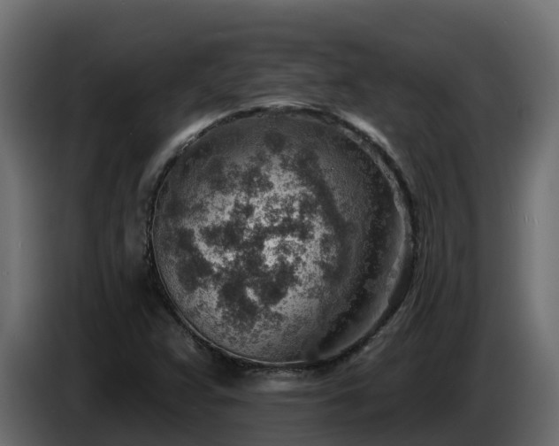 X0000085801359200703231321