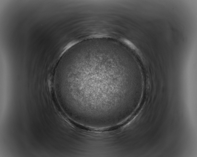 X0000085801361200703231321