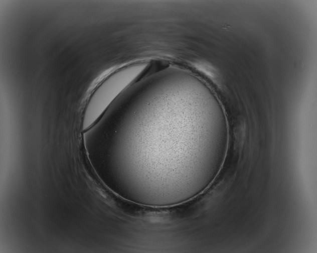X0000085801363200703231321