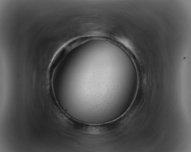 X0000085801364200703231321