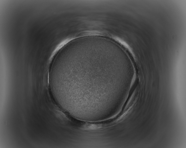 X0000085801365200703231321