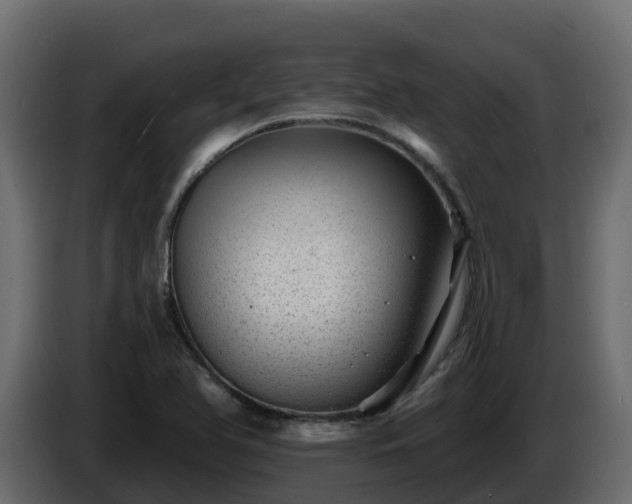 X0000085801366200703231321