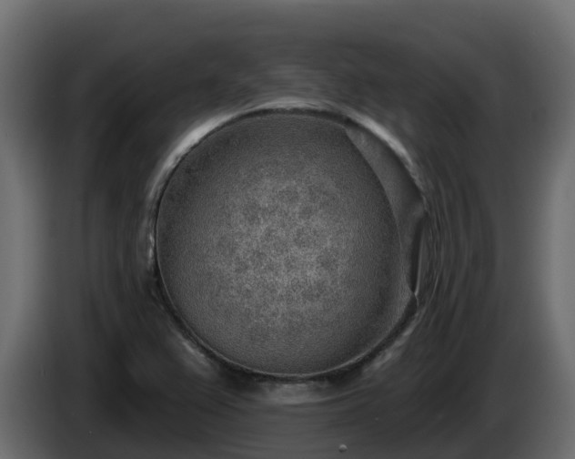 X0000085801367200703231320