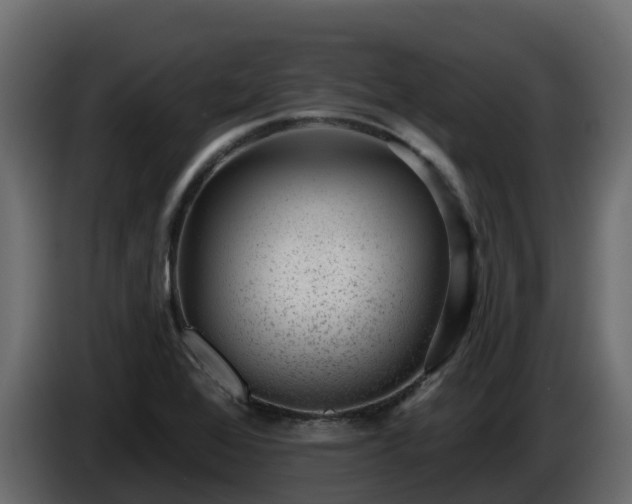 X0000085801368200703231320