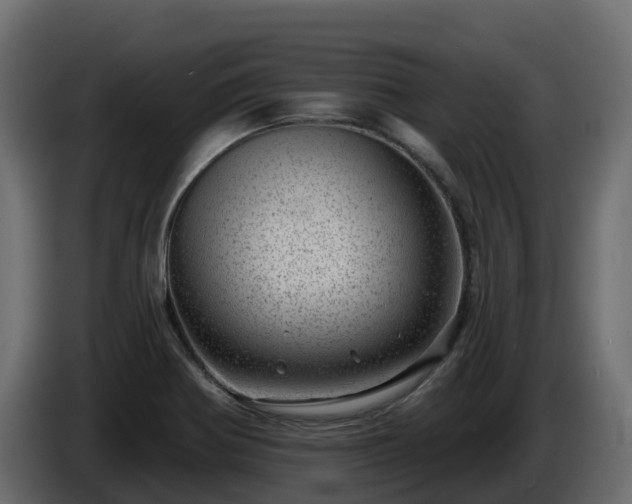 X0000085801370200703231320