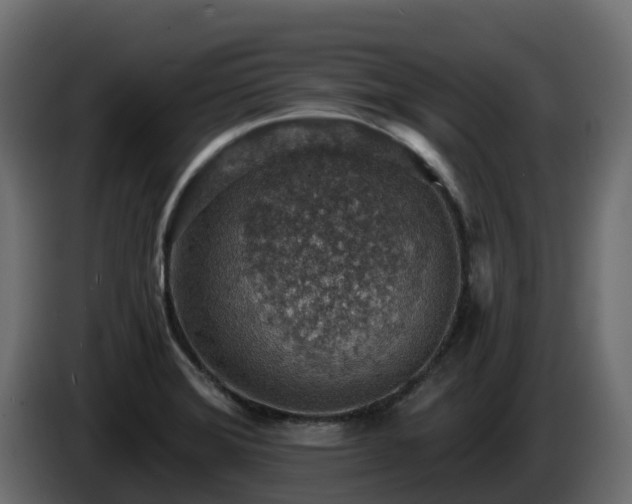 X0000085801372200703231320