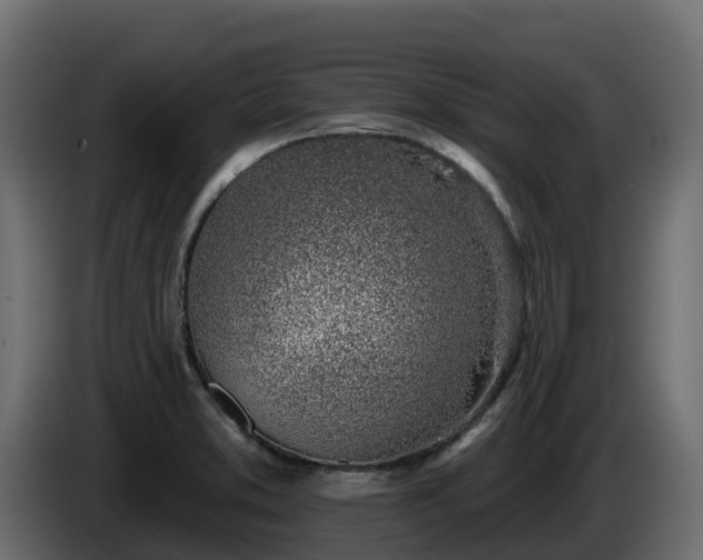 X0000085801373200703231320