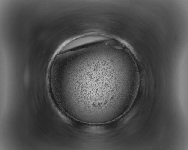 X0000085801375200703231320