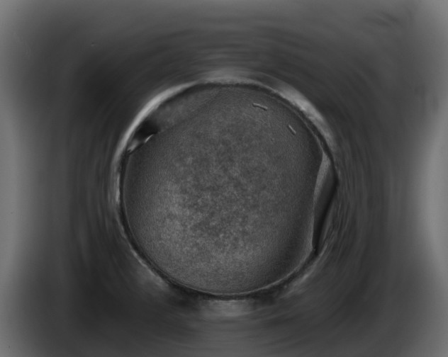 X0000085801376200703231320