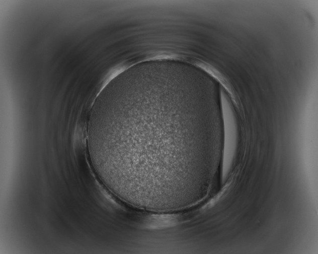 X0000085801377200703231320