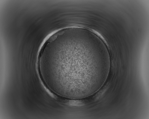 X0000085801379200703231320