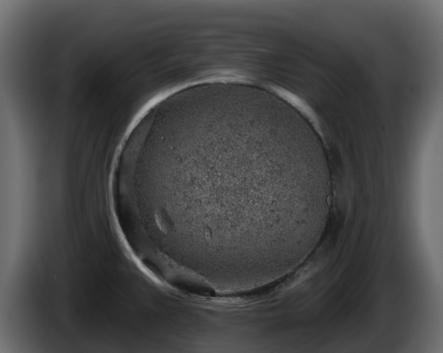 X0000085801383200703231320