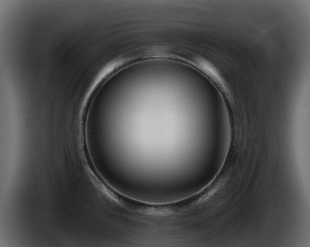 X0000085801384200703231320