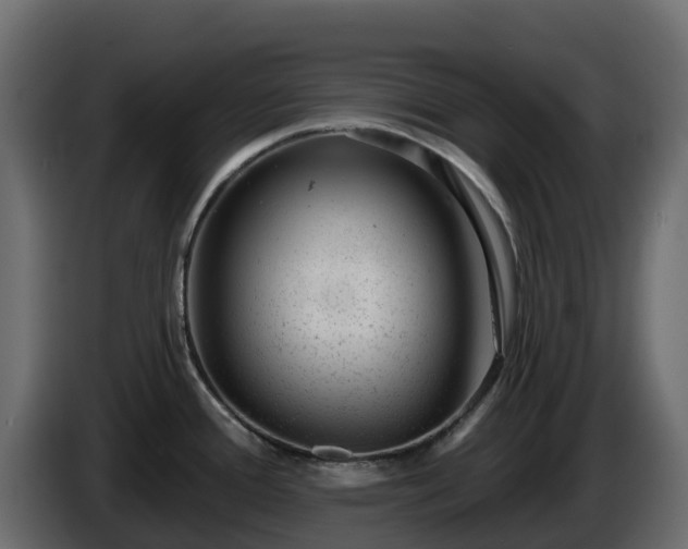 X0000085801388200703231320