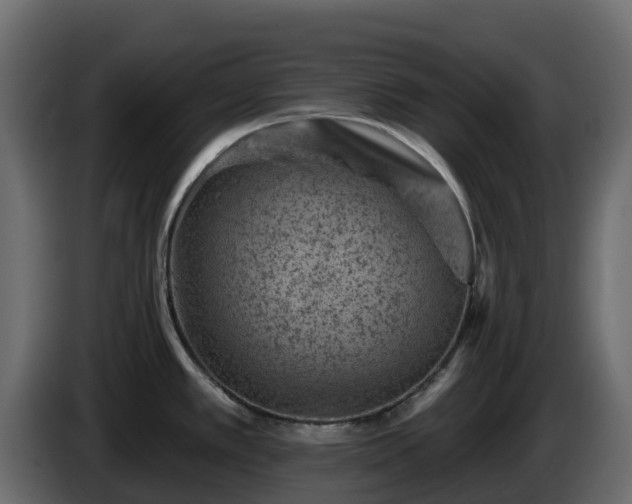 X0000085801389200703231320