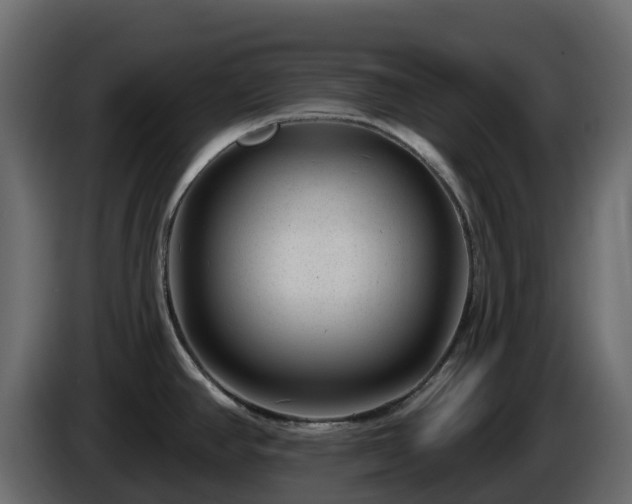 X0000085801390200703231320
