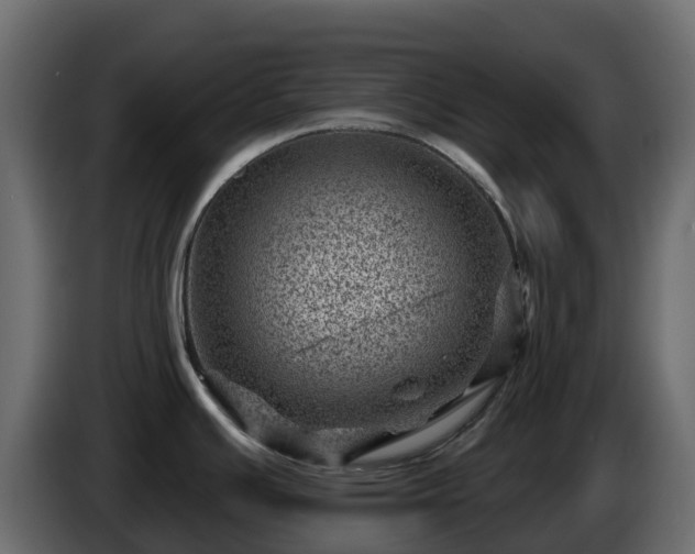 X0000085801391200703231320