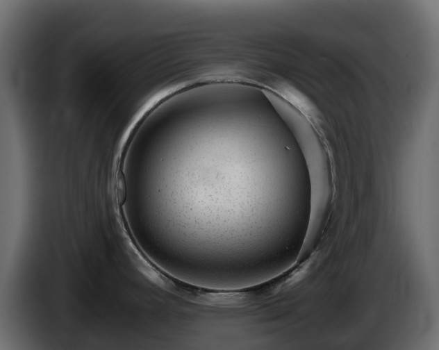 X0000085801392200703231320