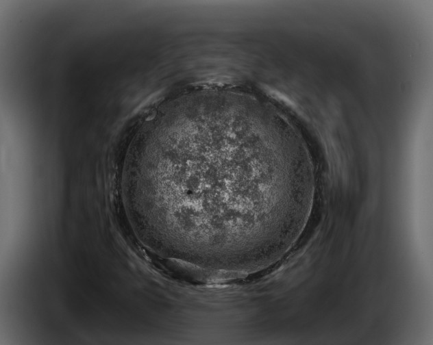 X0000085801399200703231319