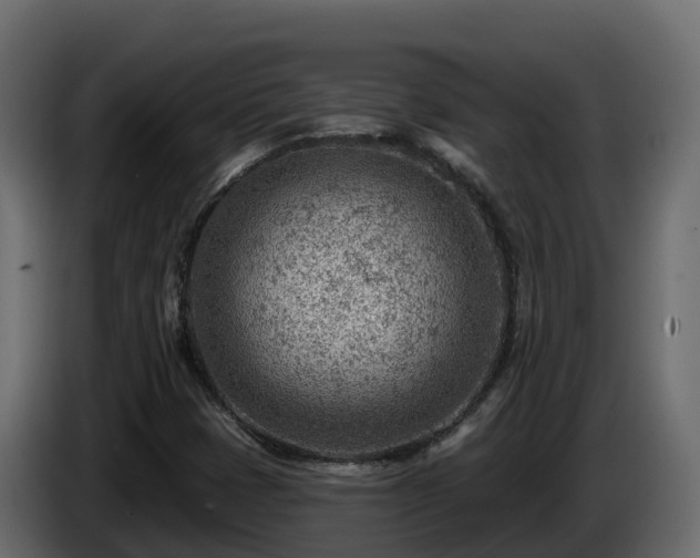 X0000085801401200703231319