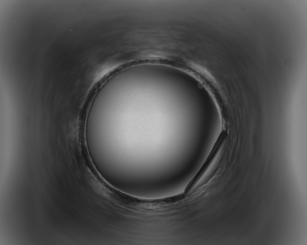 X0000085801404200703231320