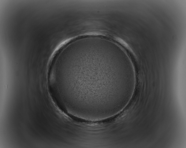 X0000085801408200703231320