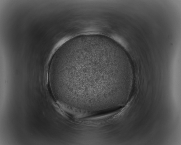 X0000085801413200703231320