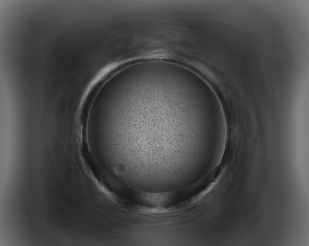 X0000085801414200703231320