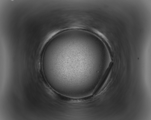 X0000085801415200703231320