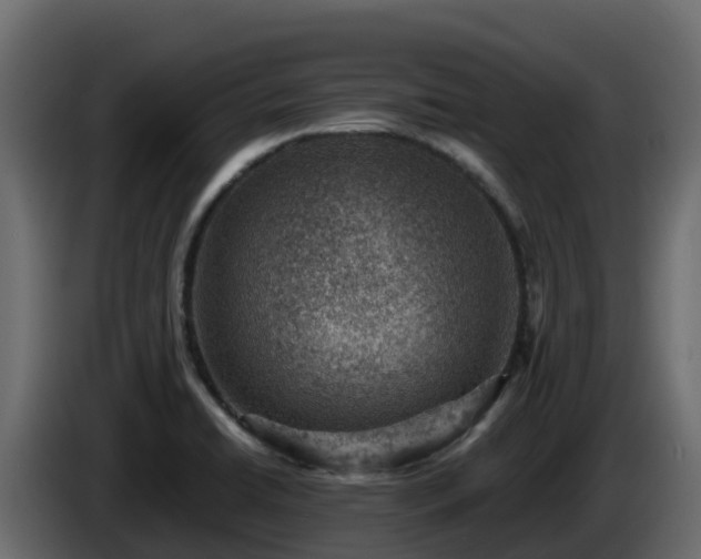 X0000085801422200703231320