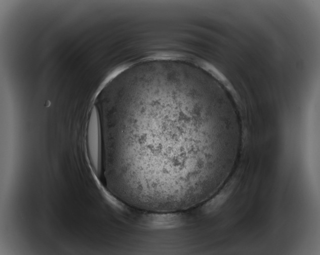 X0000085801425200703231320