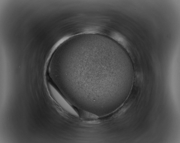 X0000085801427200703231320