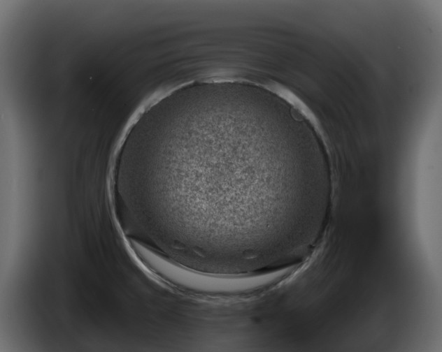 X0000085801429200703231320