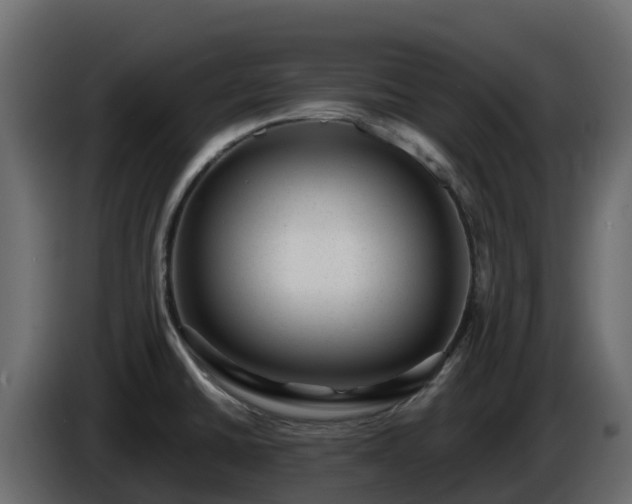 X0000085801430200703231320