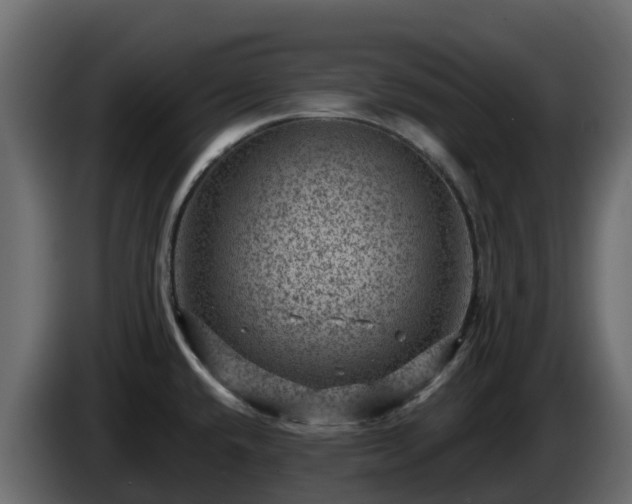 X0000085801432200703231320