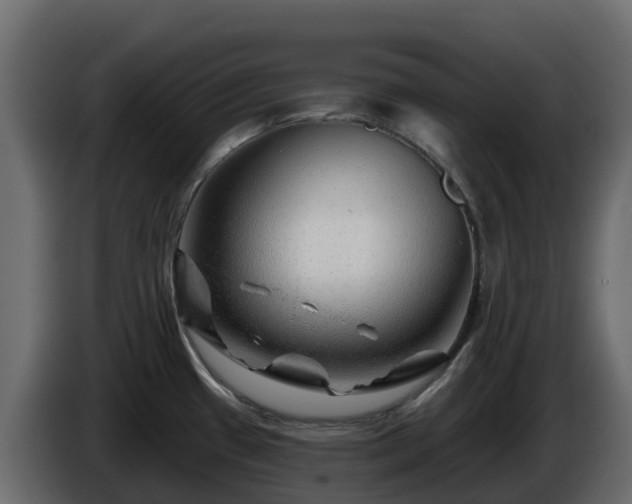 X0000085801433200703231320